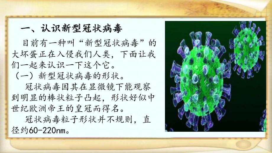 大班科学《我们身边的病毒》大班科学《我们身边的病毒》微课件.pptx_第3页