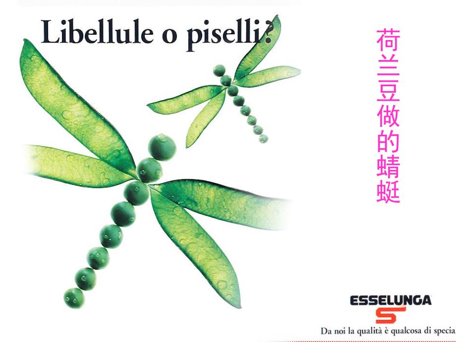 中班艺术《蔬菜水果变变变》PPT课件教案蔬菜水果变变变...pptx_第3页