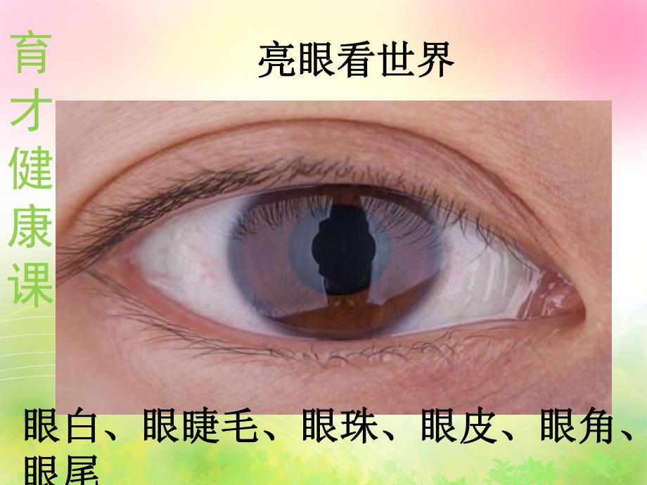 小班健康《亮眼看世界》PPT课件教案亮眼看世界.pptx_第3页