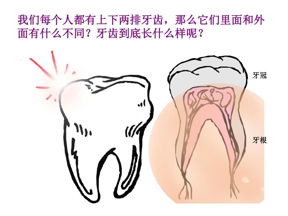 大班美术《刷牙》PPT课件教案刷牙美术课件.pptx_第3页