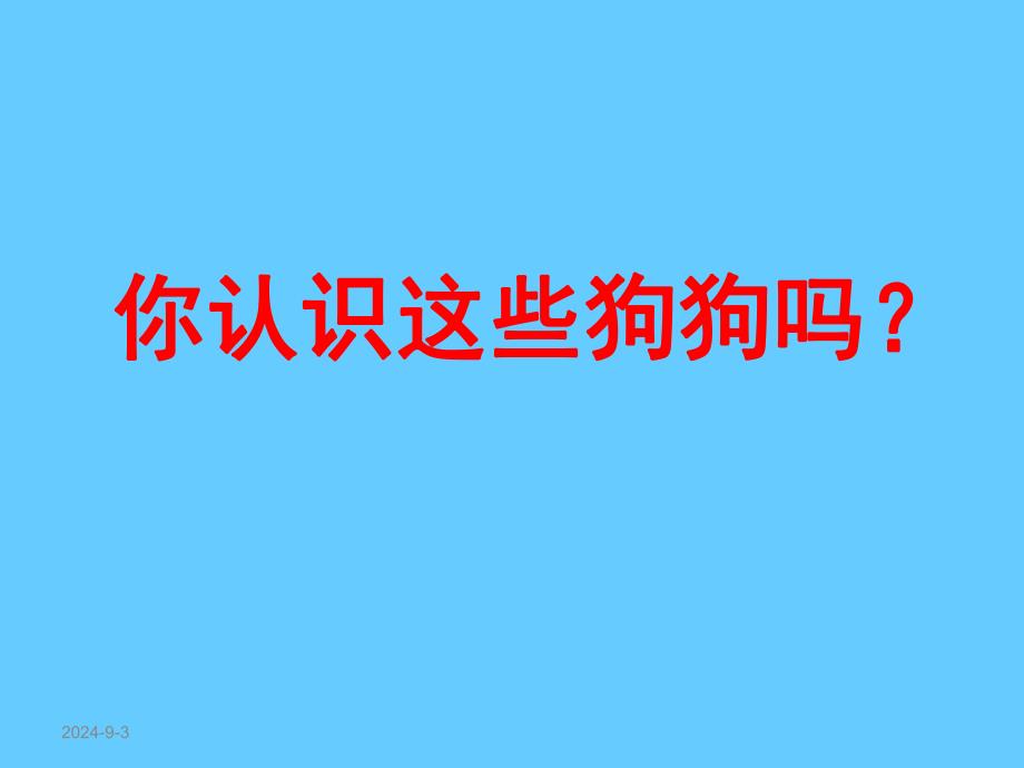 大班主题《狗狗的趣事》PPT课件教案狗的趣事.pptx_第2页