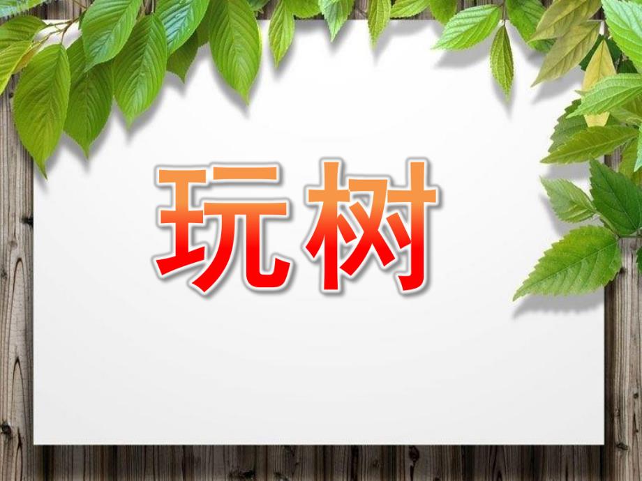 大班语言《玩树》PPT课件玩树(幼儿大班整合课程.pptx_第1页