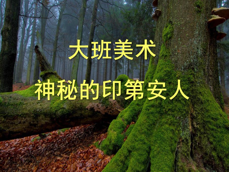 大班美术《神秘的印第安人》PPT课件教案大班美术《神秘的印第安人》.pptx_第1页