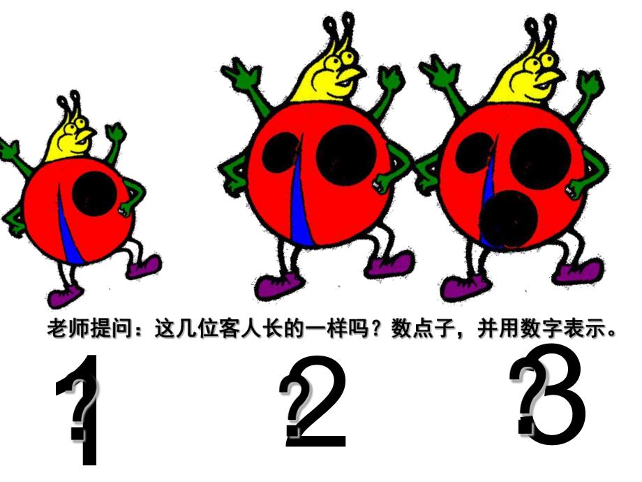 小班数学《瓢虫找家》PPT课件教案PPT课件.pptx_第3页