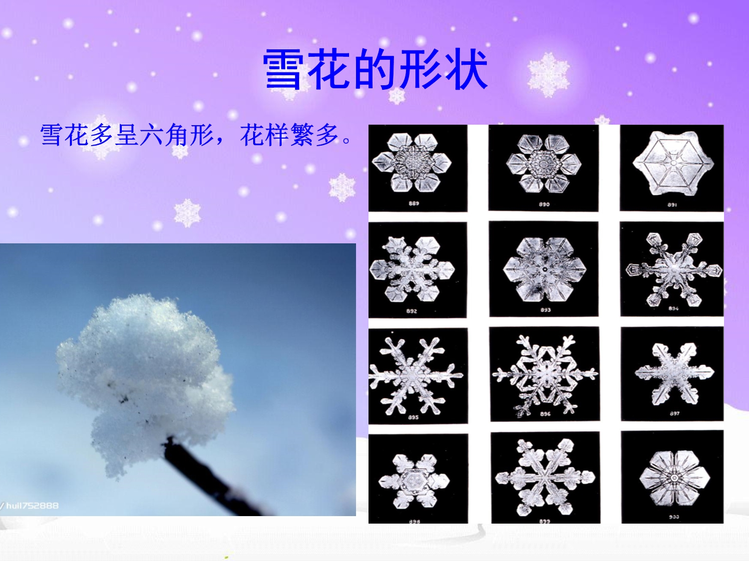 大班科学《雪的介绍》PPT课件雪的介绍-幼儿园课件.pptx_第3页