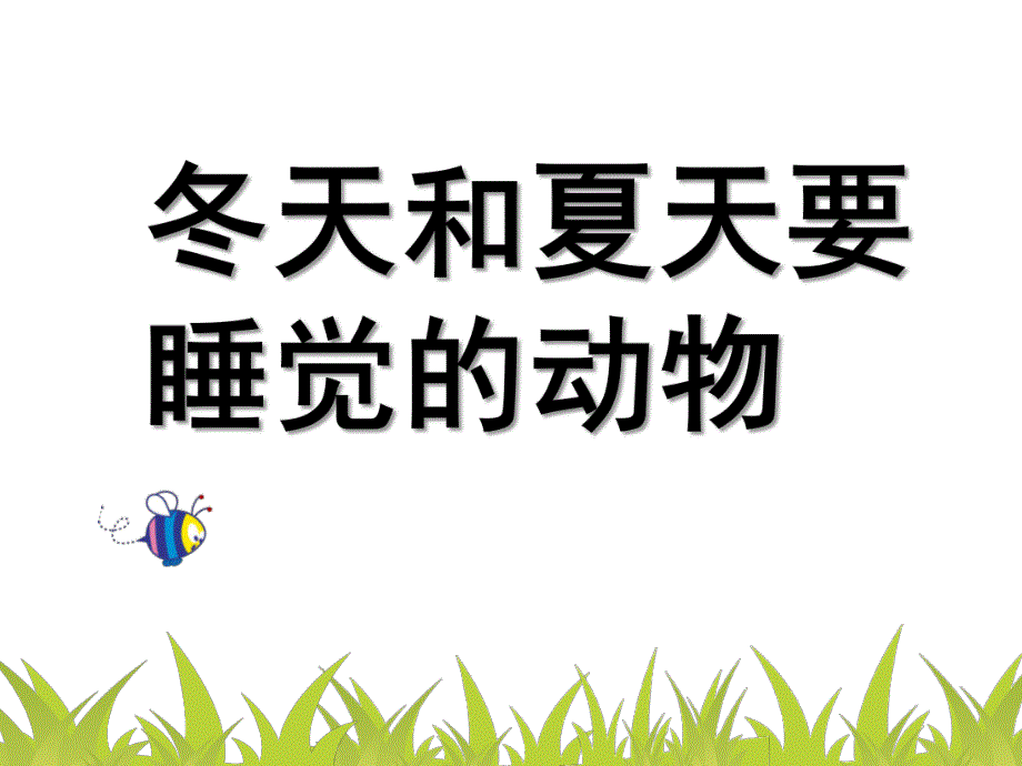 大班科学《冬天和夏天睡觉的动物》PPT课件大班科学--冬天和夏天要睡觉的动物.pptx_第1页