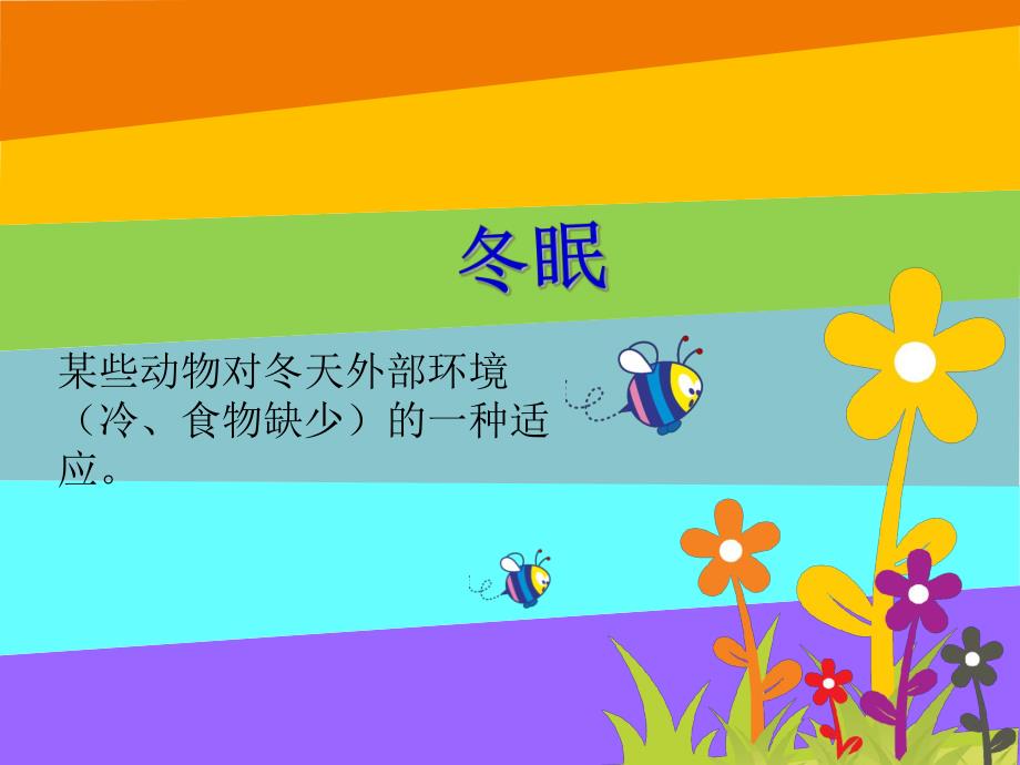 大班科学《冬天和夏天睡觉的动物》PPT课件大班科学--冬天和夏天要睡觉的动物.pptx_第2页