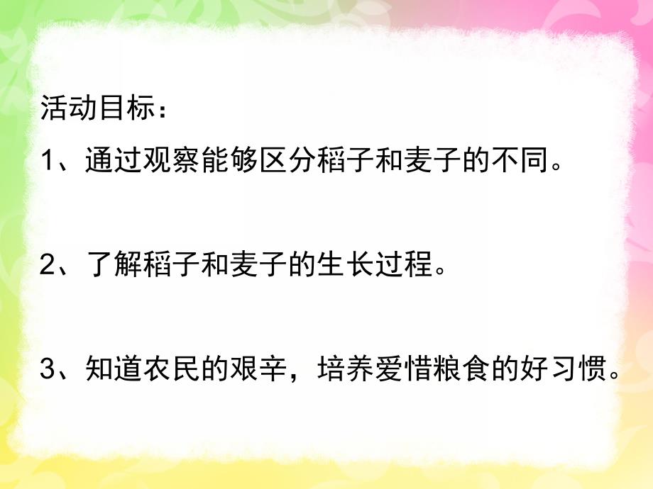 大班科学《稻子和麦子》PPT课件教案稻子和麦子.pptx_第2页