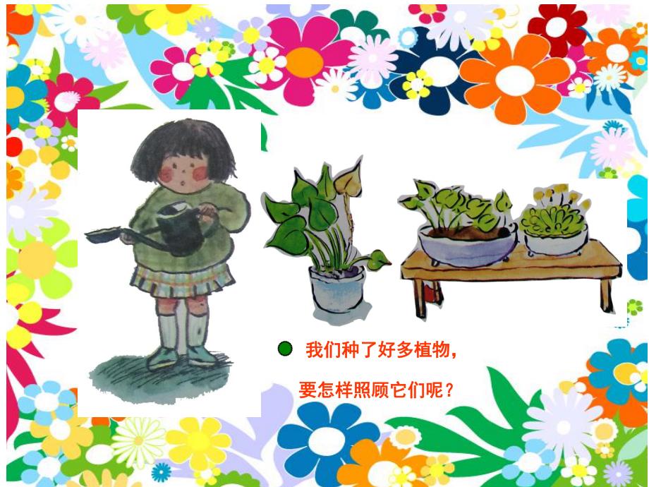 大班科学《我会照顾植物》PPT课件幼儿园大班课件《我会照顾植物》.pptx_第2页