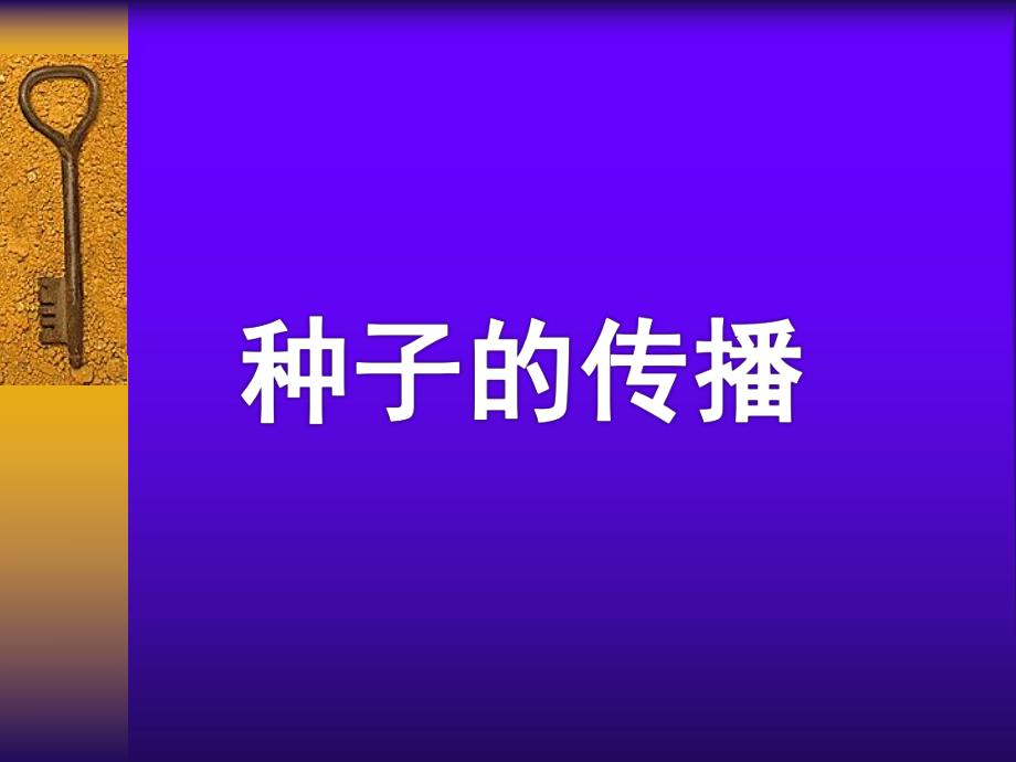 大班科学活动《种子的传播》PPT课件教案大班科学活动：种子的传播.pptx_第1页