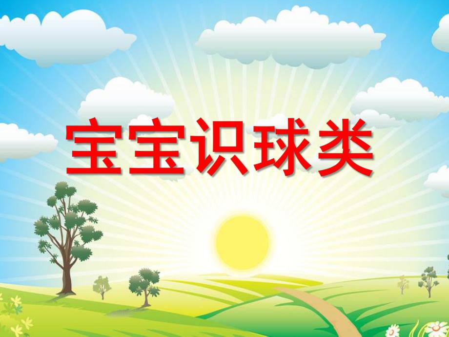 小班《宝宝识球类》PPT课件ppt课件.pptx_第1页