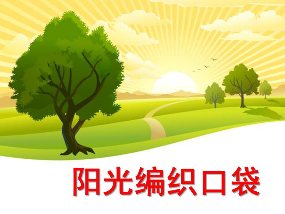 大班语言《阳光编织口袋》PPT课件大班：阳光编织口袋.pptx_第1页