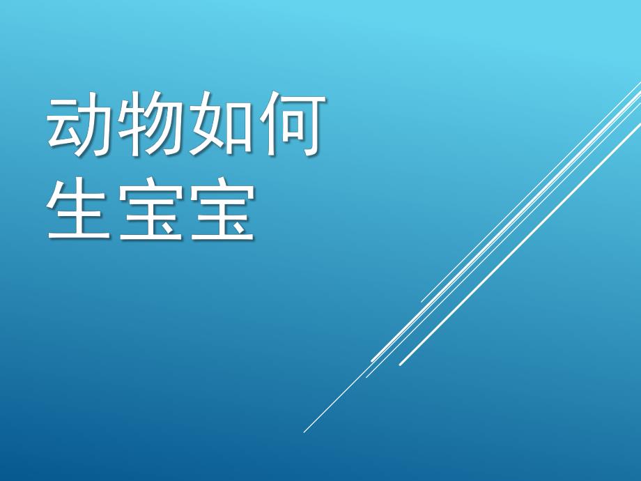 大班科学活动《动物如何生宝宝》PPT课件教案动物如何生宝宝.pptx_第1页