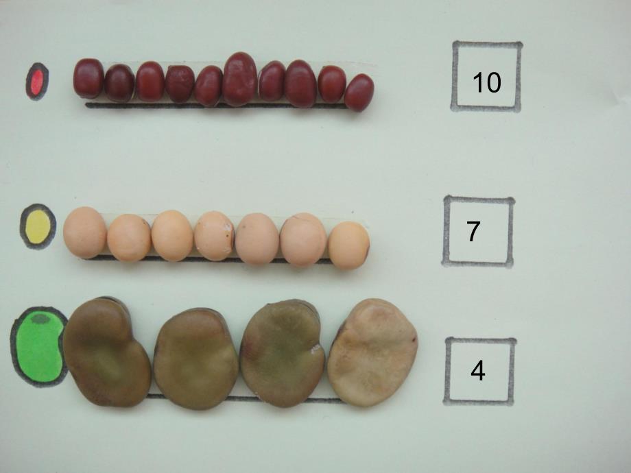 大班数学《豆宝宝排队》PPT课件教案395a76b5-78b4-4e49-a4d0-.pptx_第3页