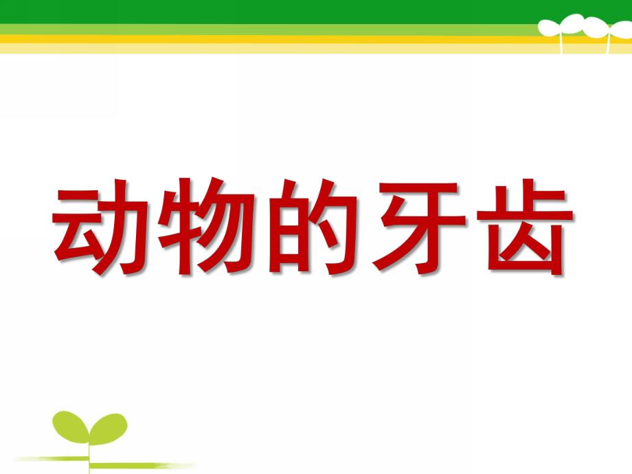 大班科学《动物的牙齿》PPT课件教案科学大班上第十六周+《动物的牙齿》.pptx_第1页