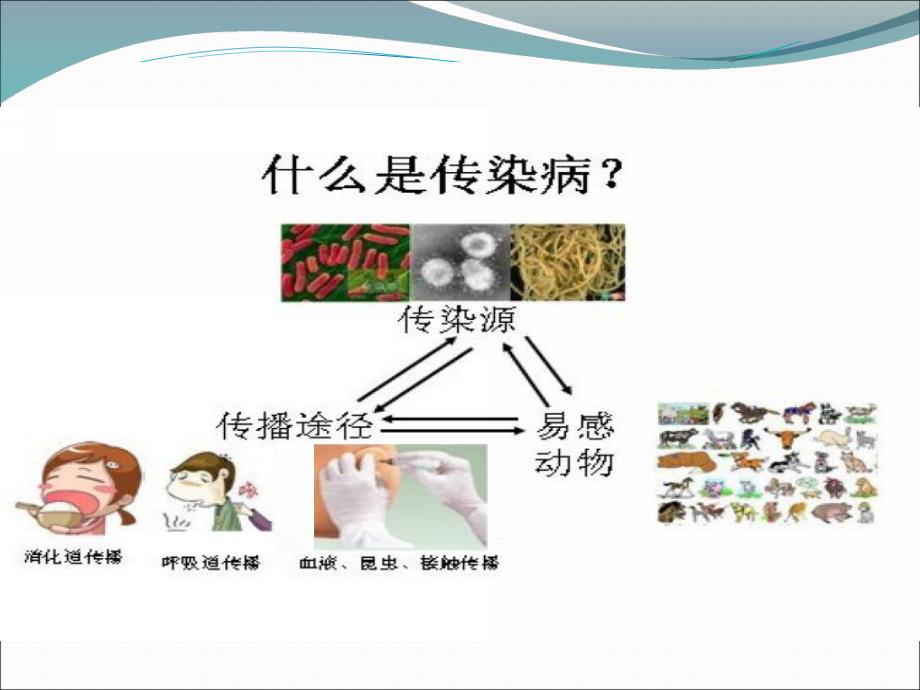 大班健康《预防疾病》课件PPT教案大班健康《预防疾病》讲义.pptx_第3页