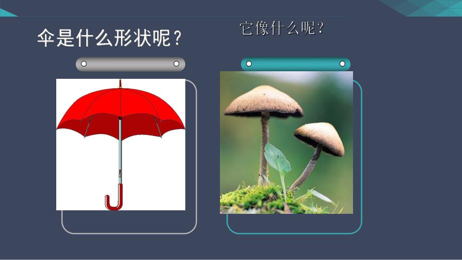 中班美术《雨伞想象画》PPT课件中班美术：雨伞想象画.ppt_第2页