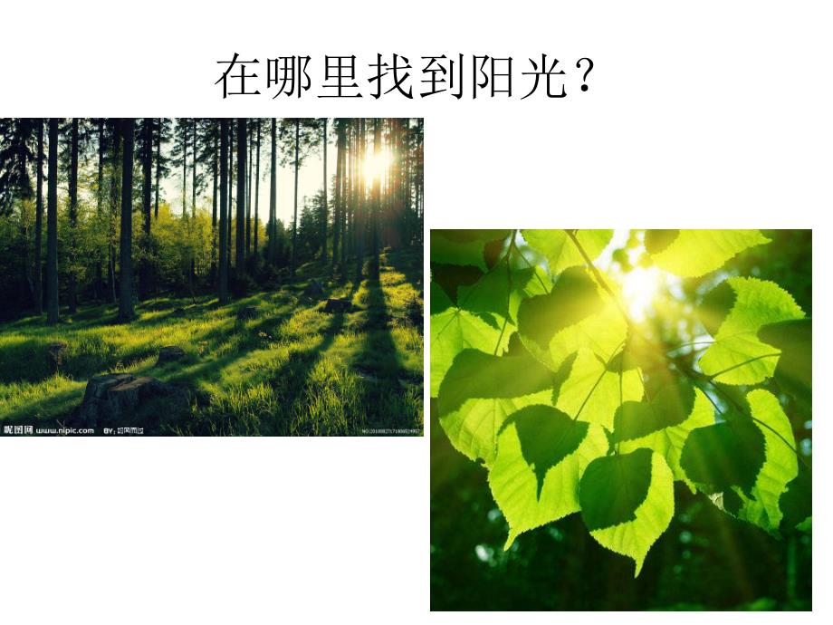 中班诗歌《阳光》PPT课件教案中班诗歌：阳光.ppt_第3页