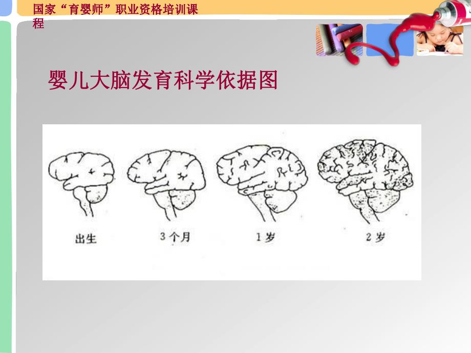 早期教育的重要性及误区PPT课件早期教育重要性·.pptx_第3页