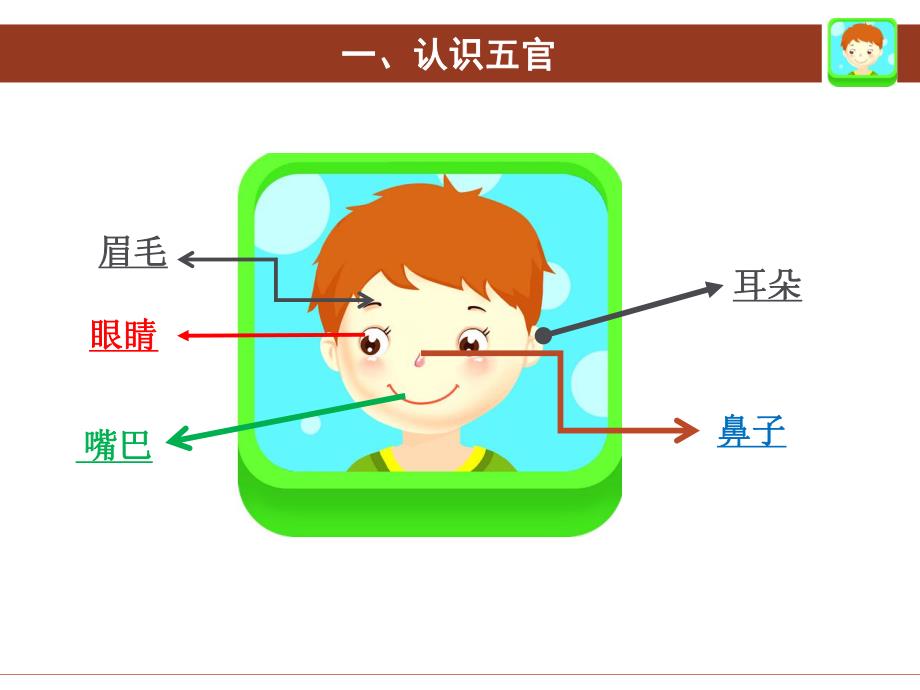 中班健康《认识五官》中班健康《认识五官》微课件.ppt_第3页