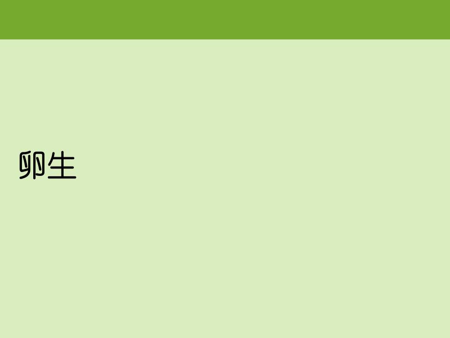 中班科学活动《动物怎样出生》PPT课件教案.ppt_第3页