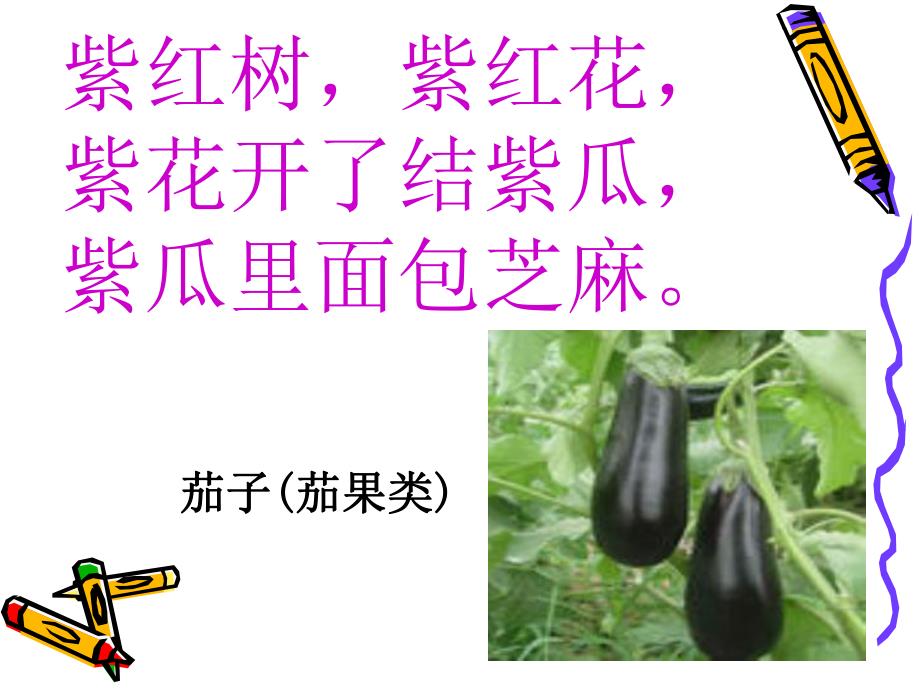 幼儿园《走进蔬菜王国》PPT课件教案走进蔬菜王国.pptx_第3页