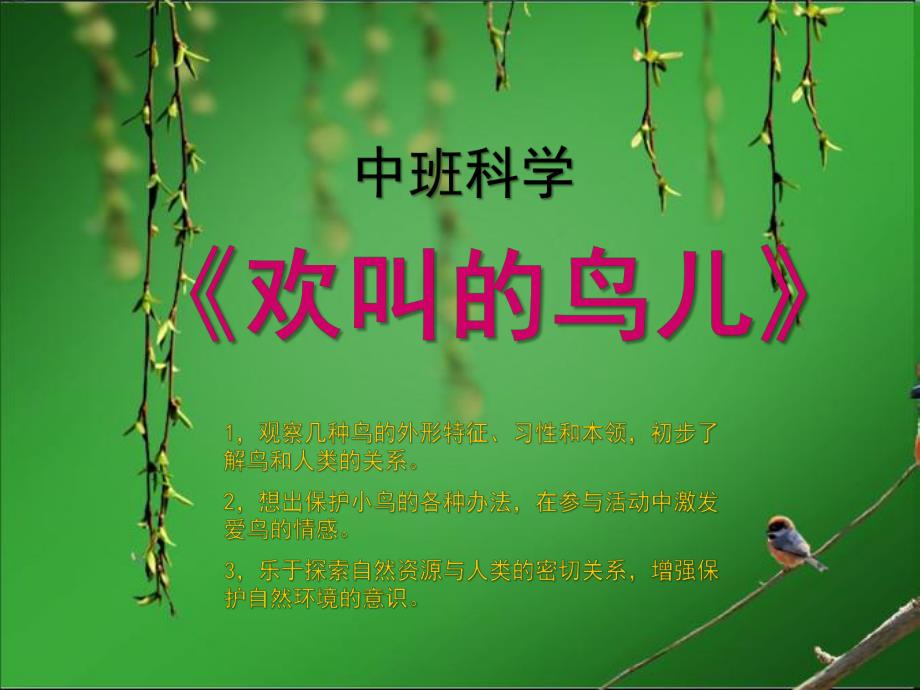 中班科学《欢叫的鸟儿》PPT课件各种各样的鸟.ppt_第1页