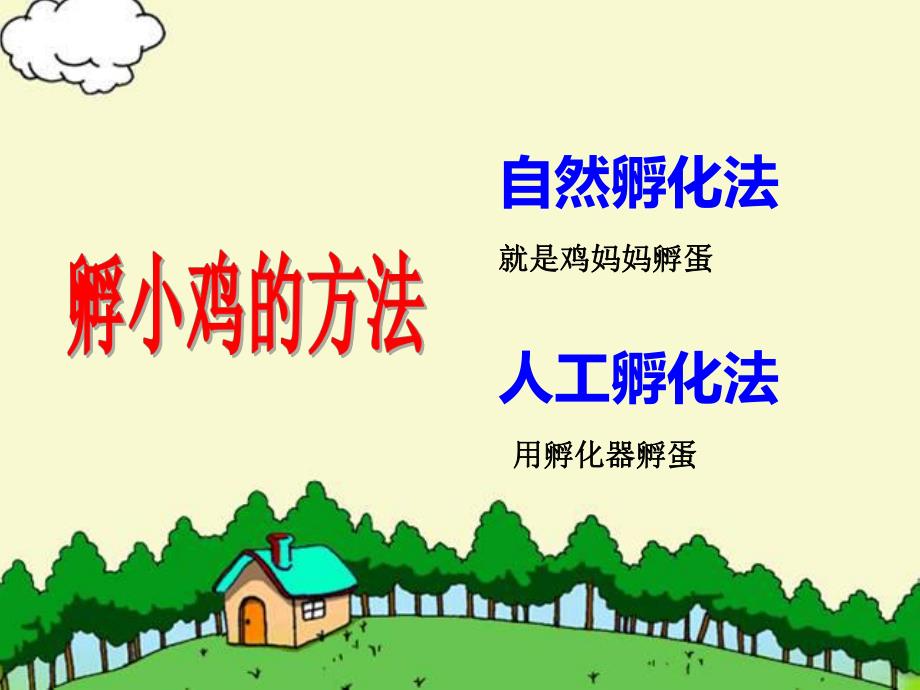 中班科学《小鸡孵化》PPT课件教案小鸡孵化演示文稿.ppt_第2页