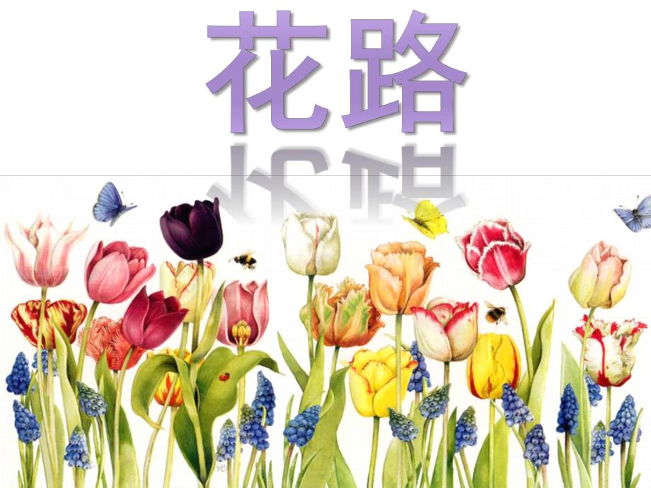 幼儿园语言活动《花路》PPT课件教案.pptx_第1页