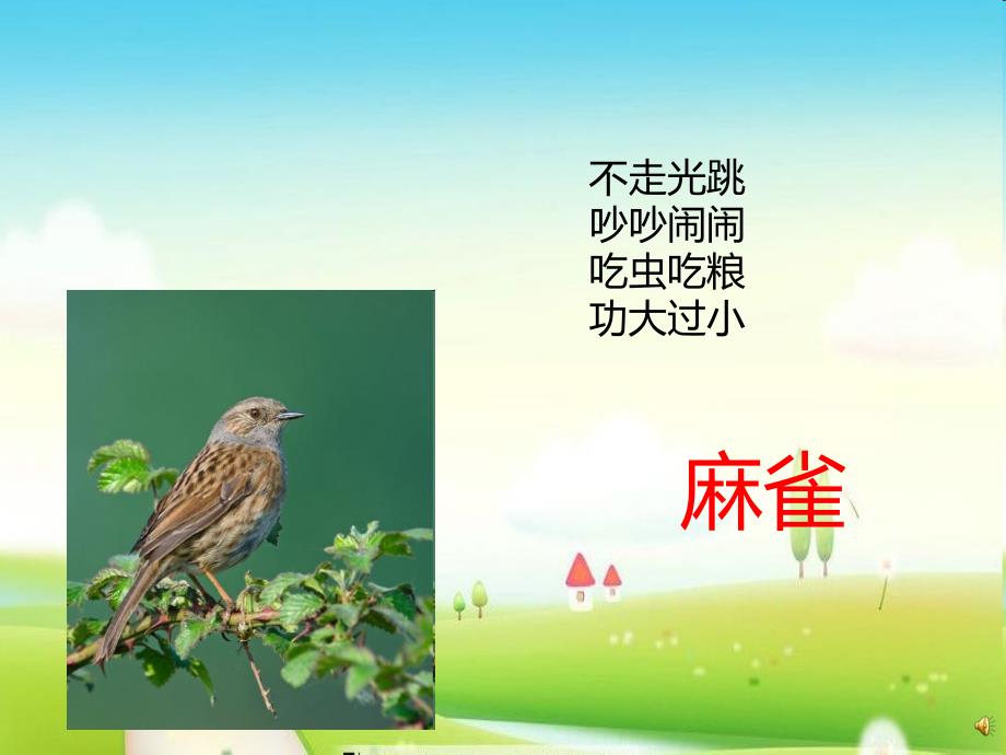 幼儿园动物儿歌《小麻雀》PPT课件配音音乐PPT课件.pptx_第2页