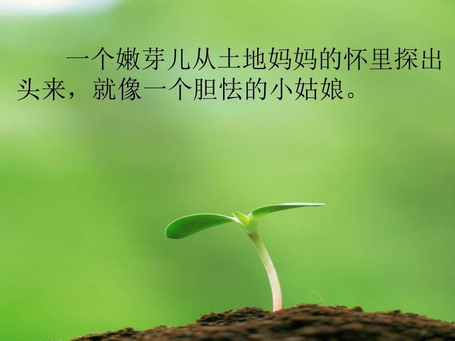 中班语言散文《芽》PPT课件.ppt_第2页