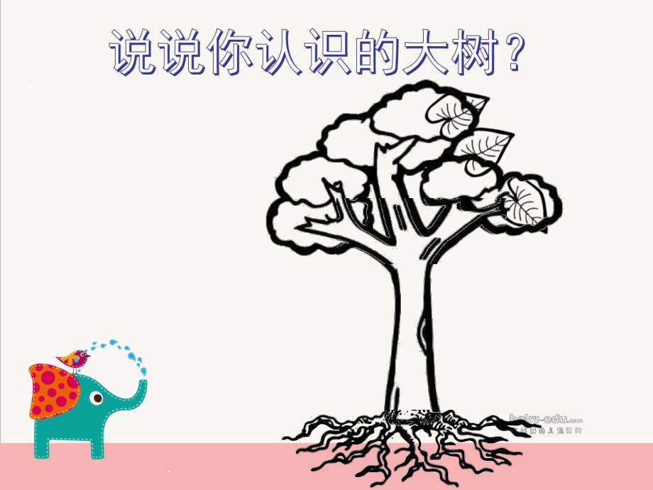 中班科学《我和大树交朋友》PPT课件我和大树交朋友.ppt_第2页