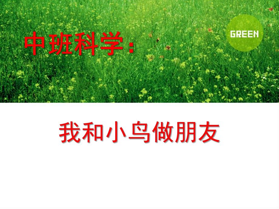 中班科学《我和小鸟做朋友》PPT课件教案中班科学《我和小鸟做朋友》.ppt_第1页