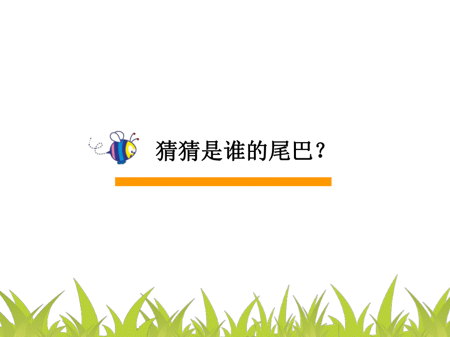 中班科学探究《动物尾巴的妙用》PPT课件动物尾巴的妙用.ppt_第3页