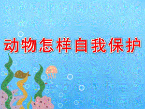 大班《动物怎样自我保护》PPT课件教案PPT课件.ppt
