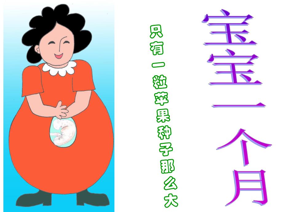 中班社会《在妈妈肚子里》PPT课件中班社会《在妈妈肚子里》PPT课件.ppt_第3页