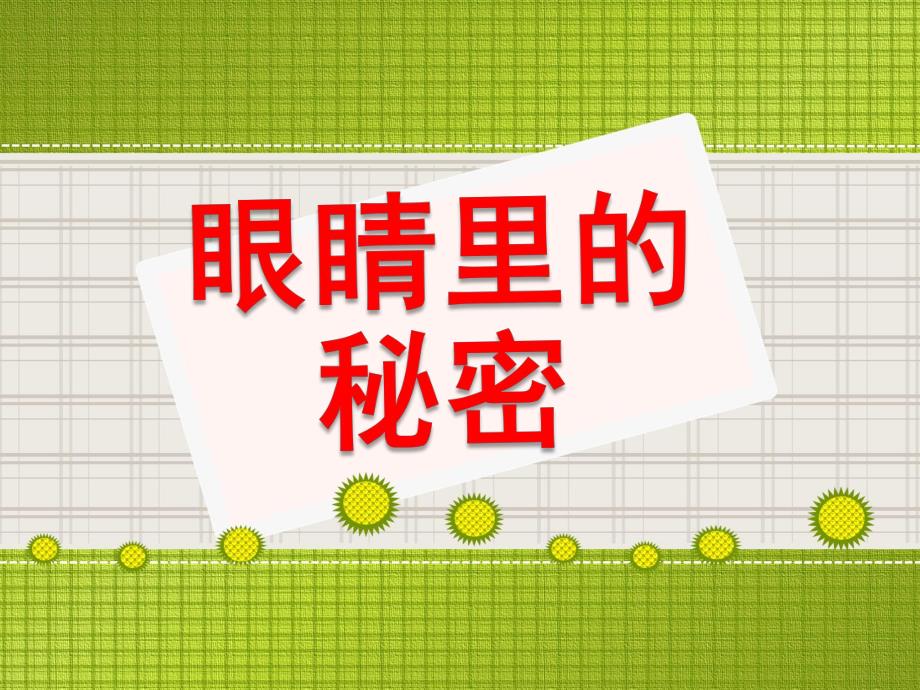 眼睛的秘密PPT课件教案图片大班健康眼睛的秘密.pptx_第1页