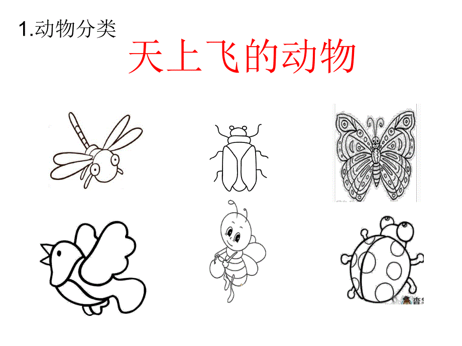 中班数学公开课《分类》PPT课件中班数学公开课《分类》PPT课件.ppt_第3页