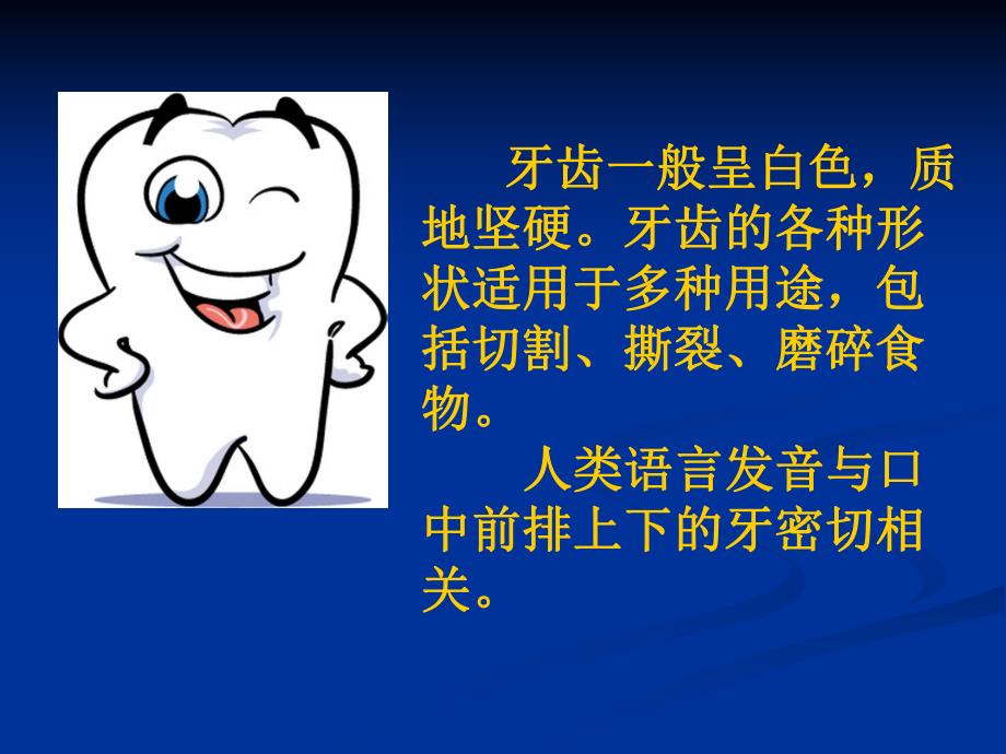 幼儿健康讲座之牙齿保健PPT课件给幼儿健康讲座之牙齿保健.pptx_第3页