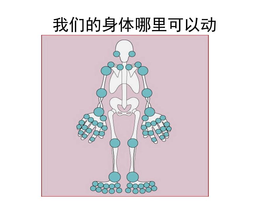 中班健康《动一动扭一扭》PPT课件教案中班健康：动一动.ppt_第2页