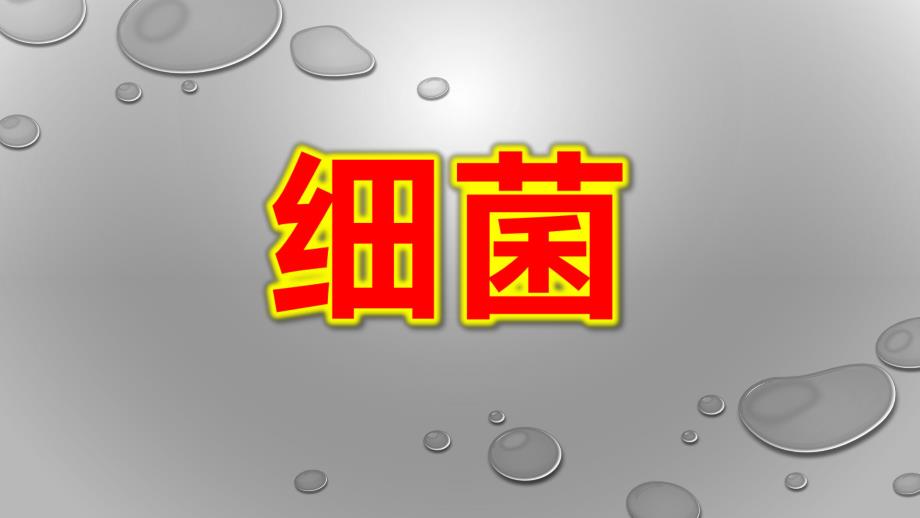 幼儿园细菌PPT课件教案幼儿园--细菌.pptx_第1页