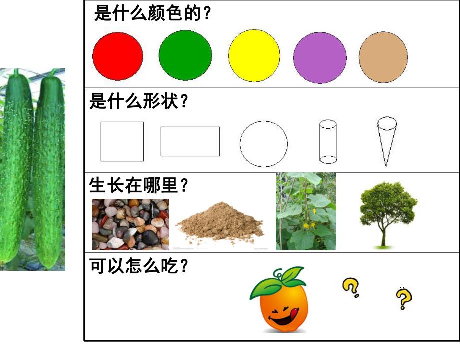 中班社会活动《认识农作物》PPT课件ppt课件.ppt_第2页