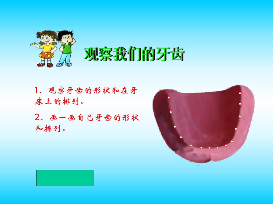 幼儿园科学《认识牙齿》PPT课件认识牙齿PPT课件.pptx_第3页