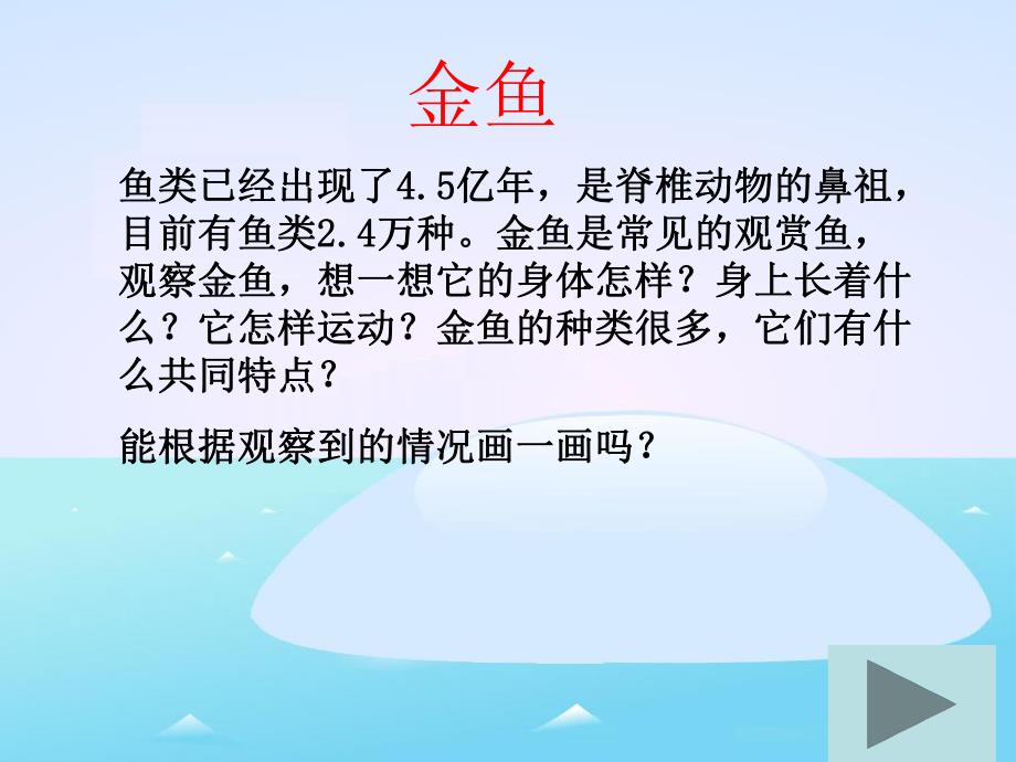 中班自然科学《金鱼与鲫鱼》PPT课件教案.ppt_第2页