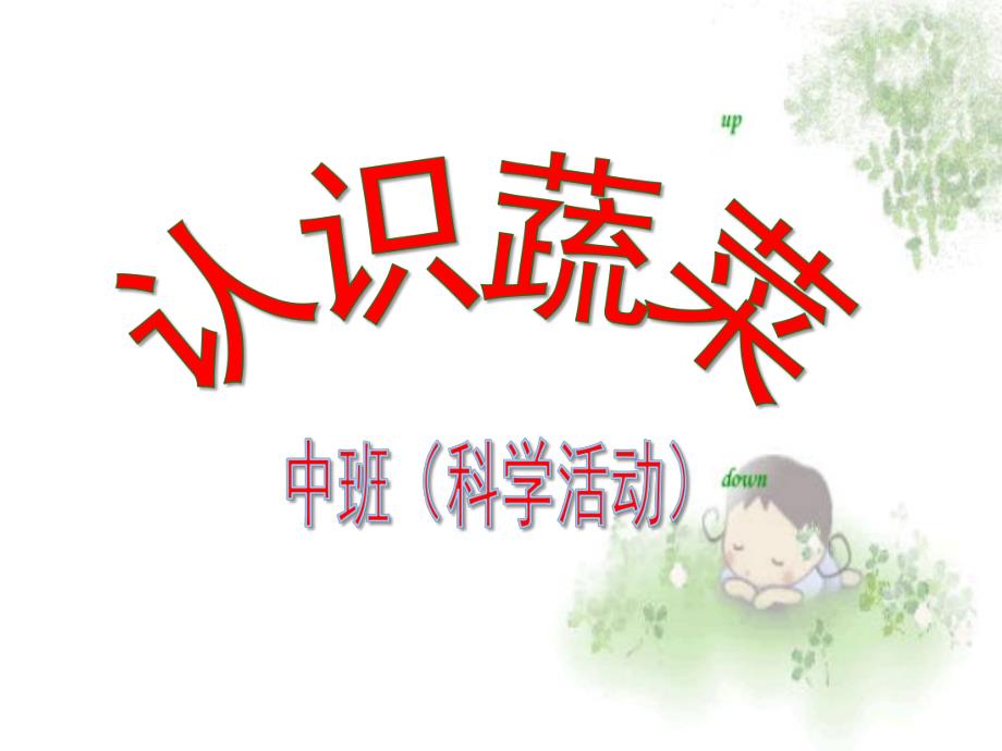 幼儿蔬菜PPT课件幼儿蔬菜.pptx_第1页