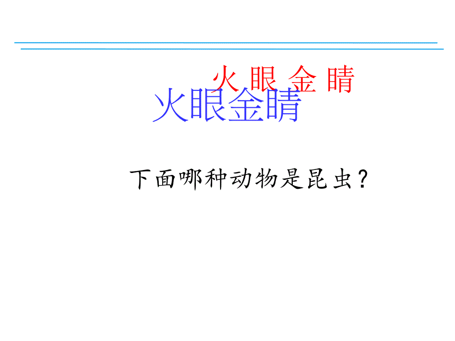 中班科学《六足舞蹈家》PPT课件六足舞蹈家.ppt_第2页