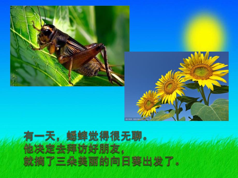 幼儿园语言故事《快乐的夏天》PPT课件教案快乐的夏天.pptx_第2页