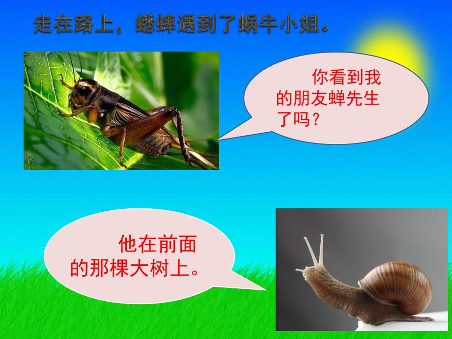 幼儿园语言故事《快乐的夏天》PPT课件教案快乐的夏天.pptx_第3页