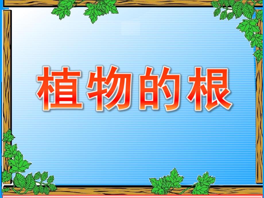 大班科学常识《植物的根》PPT课件教案科学启蒙---植物的根.ppt_第1页