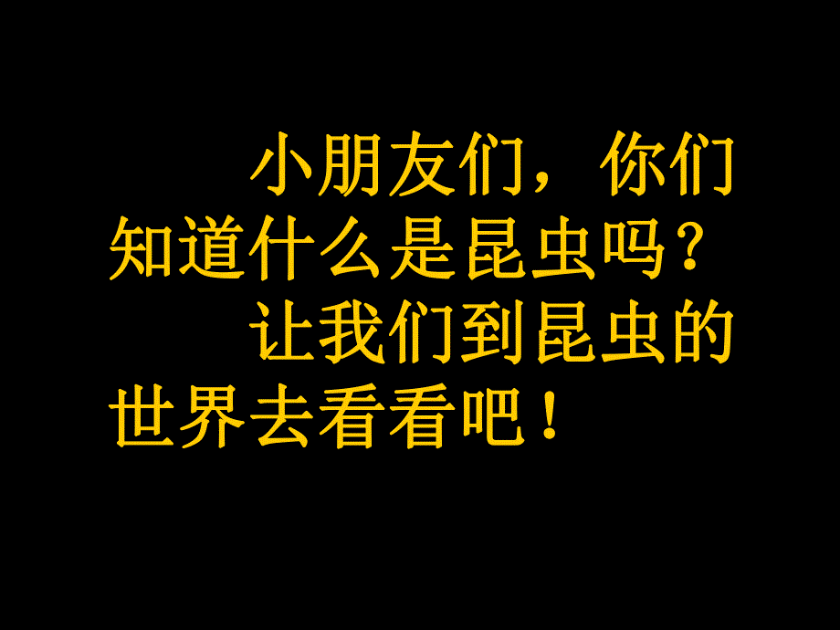 小班科学《认识昆虫》PPT课件教案小班科学-认识昆虫.ppt_第2页